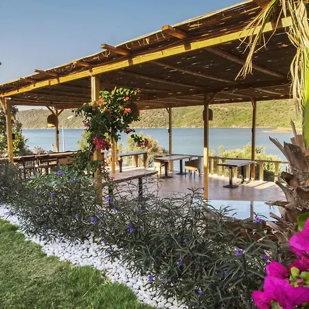 Hotel A Cute 1br Boutique Wac *
